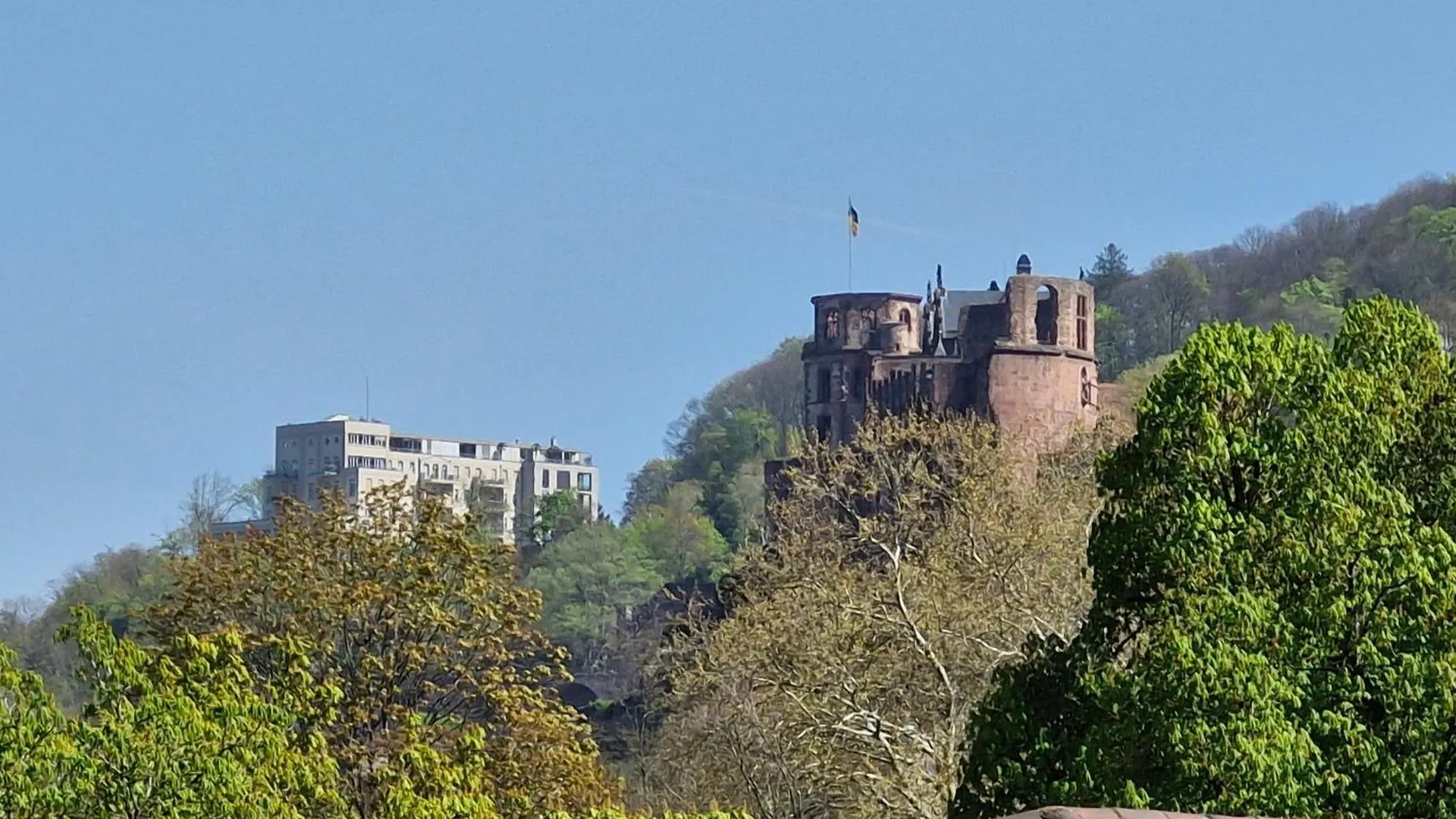 Altstadtblick Heidelberg Germany