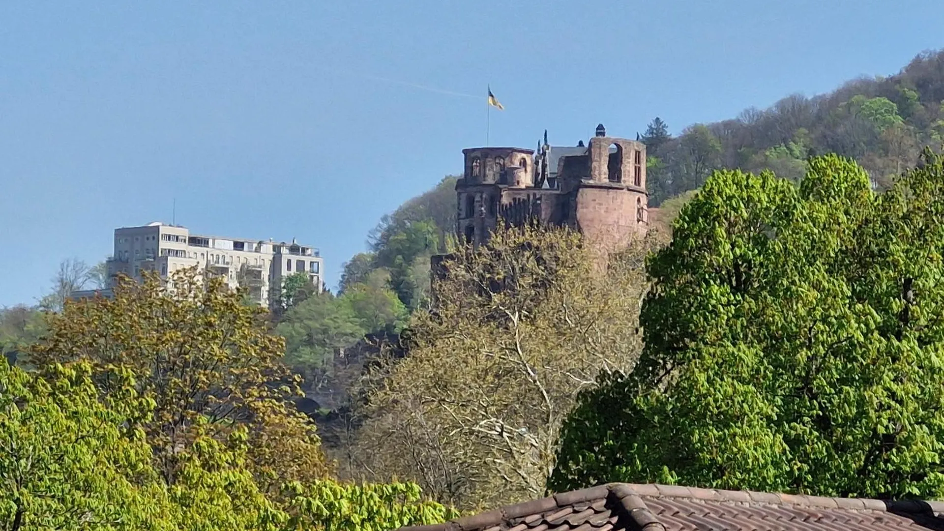 Apartment Altstadtblick Heidelberg
