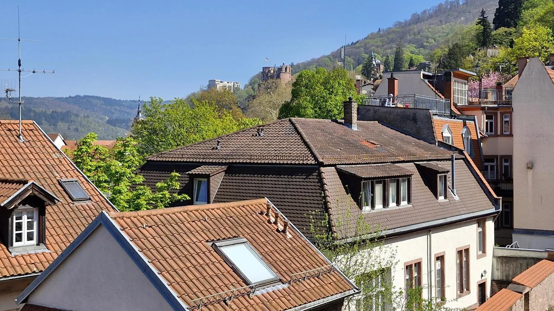 Altstadtblick Heidelberg Apartment