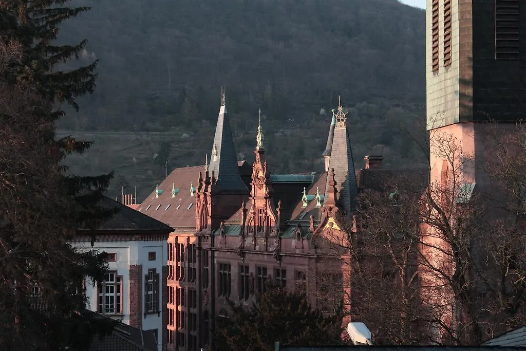 Altstadtblick Heidelberg