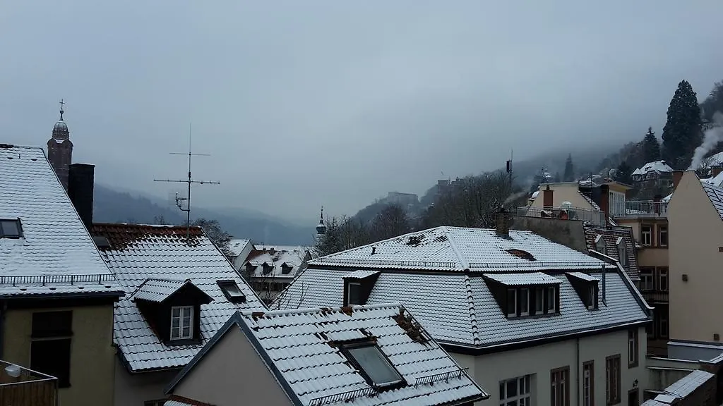Altstadtblick Heidelberg 0*,