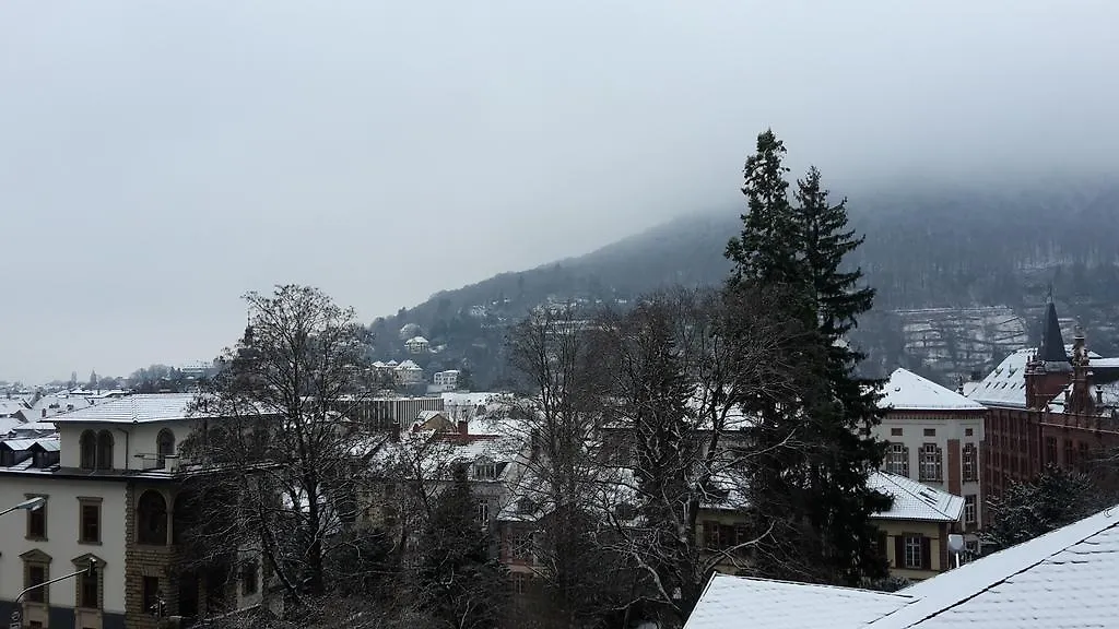 Altstadtblick Heidelberg Apartment